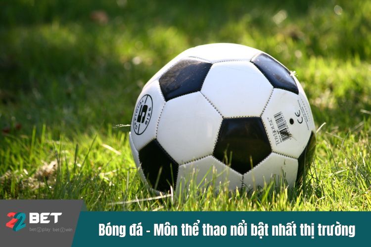 Bóng đá – Môn thể thao nổi bật nhất thị trường