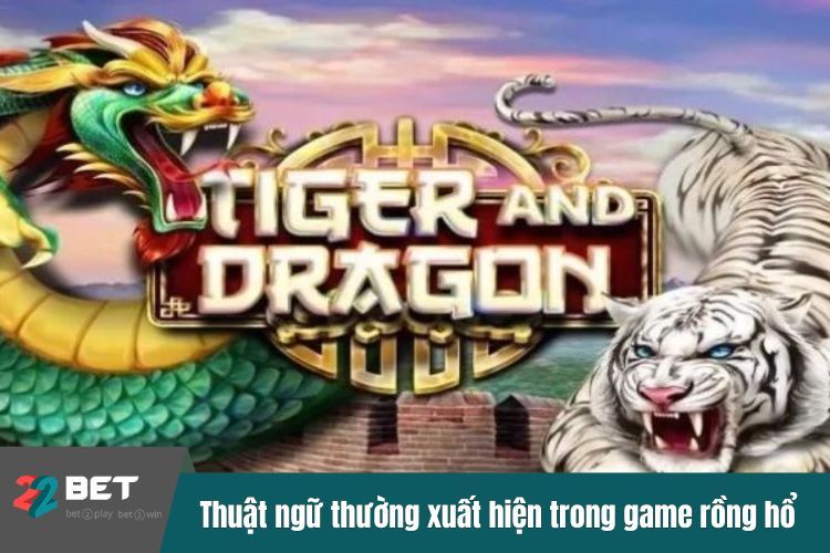 Thuật ngữ thường xuất hiện trong game rồng hổ 22BET