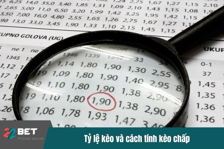 Tỷ lệ kèo và cách tính kèo chấp